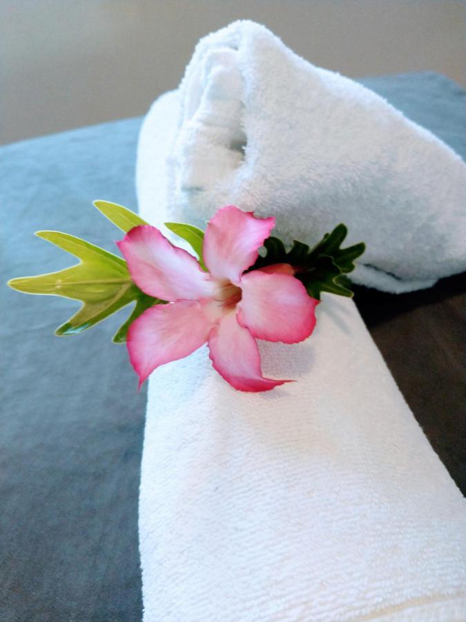 Meu Lugar- Suite จีโจกา จี เจรีกวากวารา ภายนอก รูปภาพ